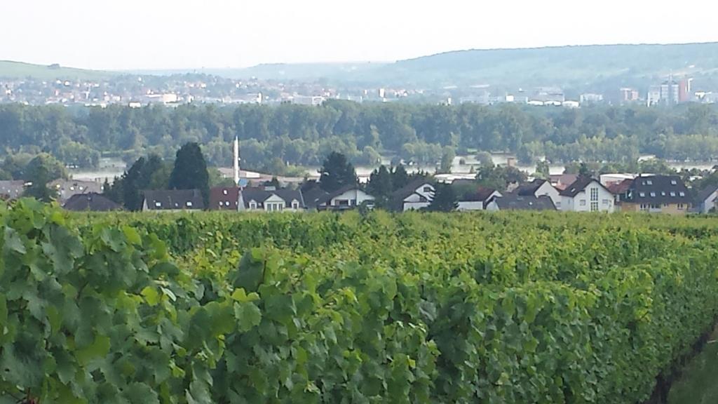 Ferienwohnung Weingut Leis Oestrich-Winkel Camera foto