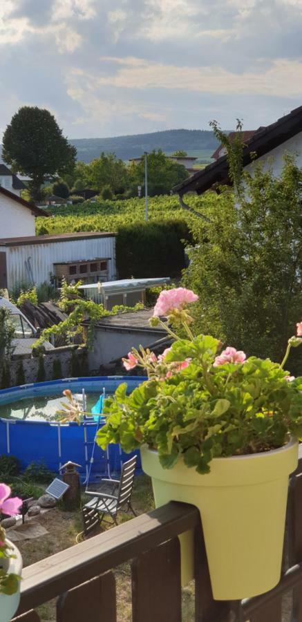 Ferienwohnung Weingut Leis Oestrich-Winkel Esterno foto